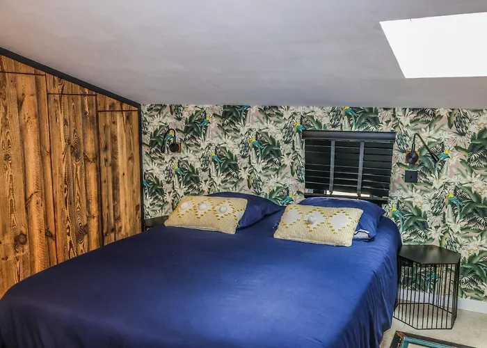 Casa Jungle ! Superb Duplex Apartment, Place Des Lices !